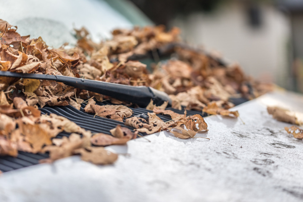 van covered with leaves and a wiper