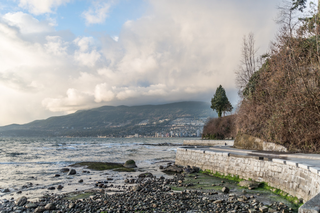 Ocean, tree & Vancouver Seawalk.