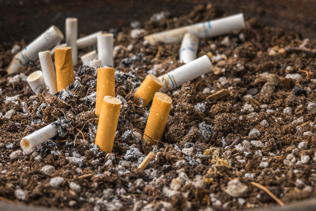 picture of cigarette butts