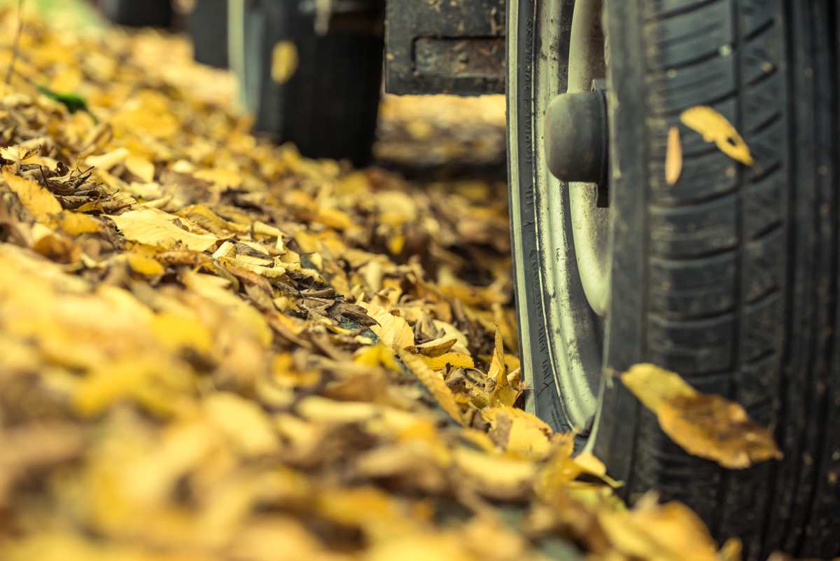 free picture of fall leaves & car tire