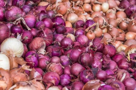 Large Yellow & Red Onions. Free Pictures for Your Blog for an Attribution.