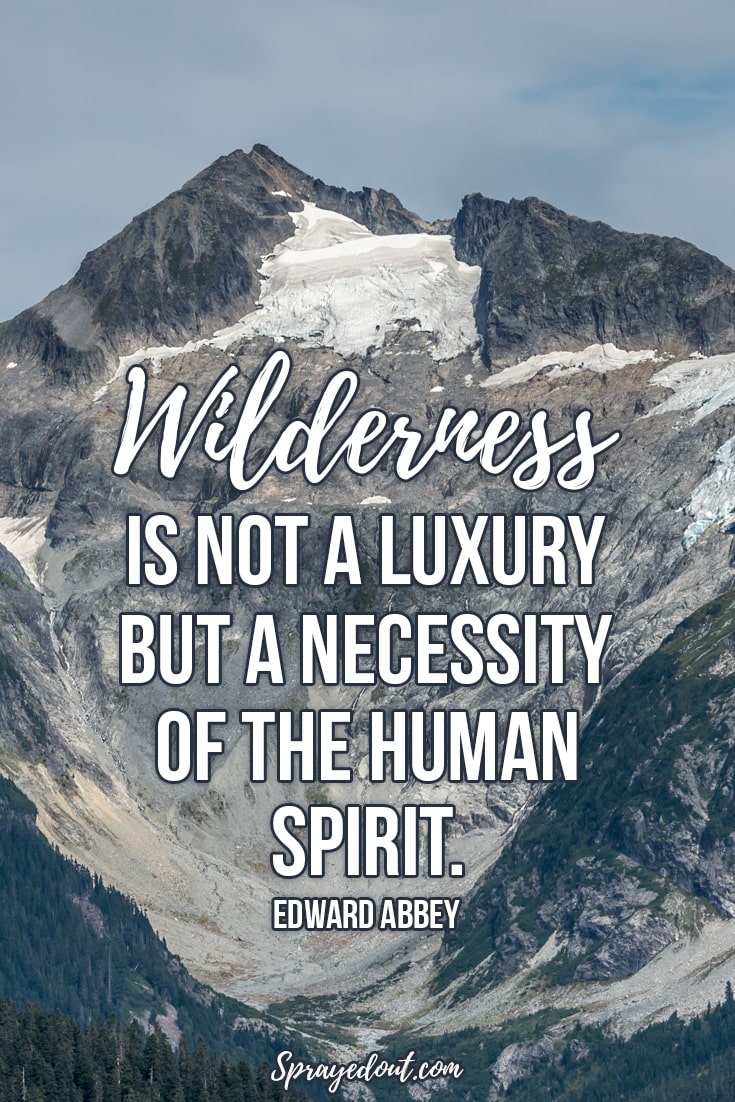 Edward Abbey Quote About Nature.