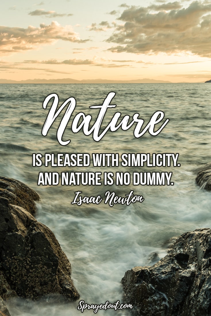 Isaac Newton Quote About Nature.
