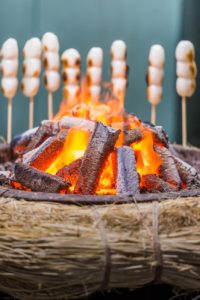 Fireplace and Mitarashi Dango (Sticky Rice Flour Balls). Free image for your blog.