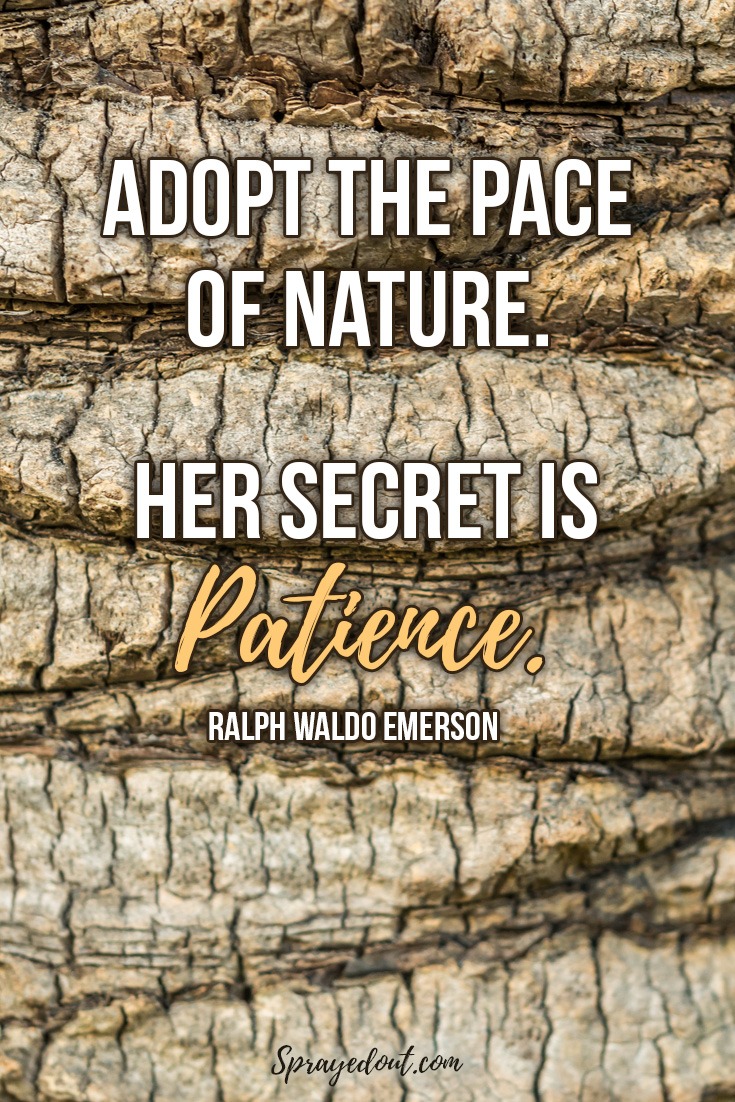 Ralph Waldo Emerson Quote About Mother Nature.