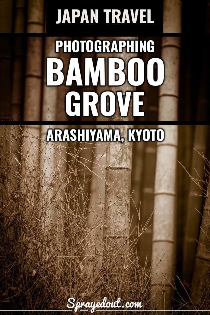 Photographing Bamboo Grove in Arashiyama located in Kyoto, Japan.