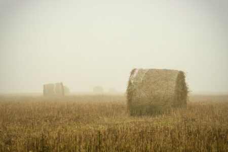 Hay Bales Landscape on a Foggy Day