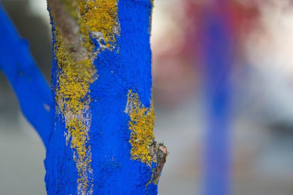Blue Tree from "The Blue Trees" environmental performance art by Konstantin Dimopoulos for Vancouver Biennale.