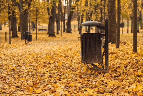 Park bin surrounded by golden fallen leaves in an autumn park in Bialystok, Poland.